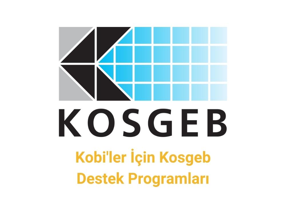 Kobi'ler İçin Kosgeb Destek Programları